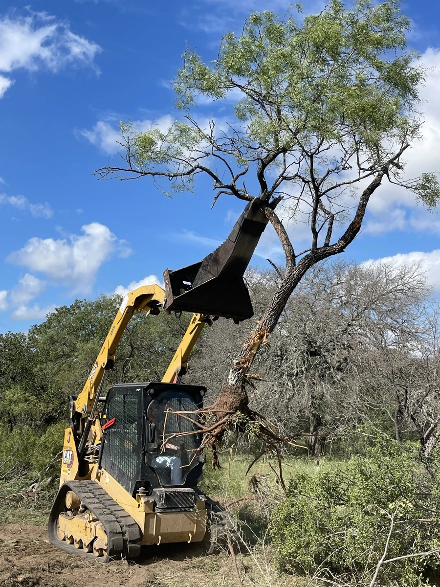 A yellow Caterpillar skid steer loader equipped with a front-mounted grappling attachment is being used to remove a large, leafy tree branch from a rural, wooded area with a bright blue sky and fluffy white clouds overhead.