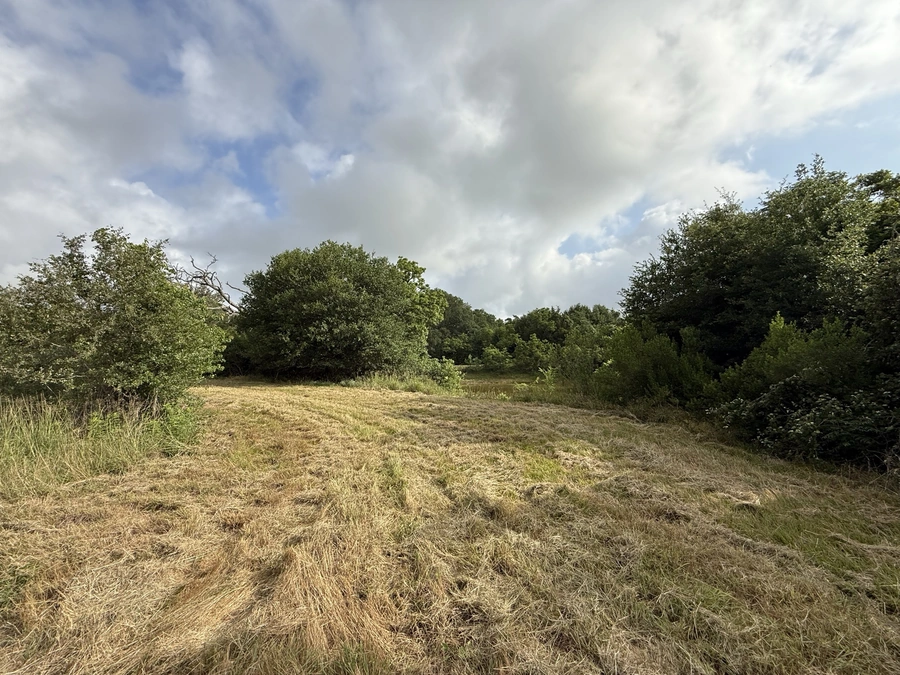 A rustic, rural landscape with a large open field in the foreground, surrounded by a lush green forest. The field is covered in tall grass that has been recently mowed, leaving behind a swirling pattern in the hay. The sky is overcast with a mix of blue and gray clouds, creating a serene and peaceful atmosphere.