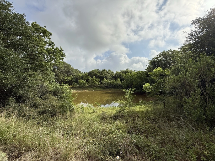 A tranquil pond surrounded by lush green foliage and trees, reflecting the cloudy sky above. The serene natural setting showcases the type of land improvement and site work services offered by A.M. Pitts Construction.