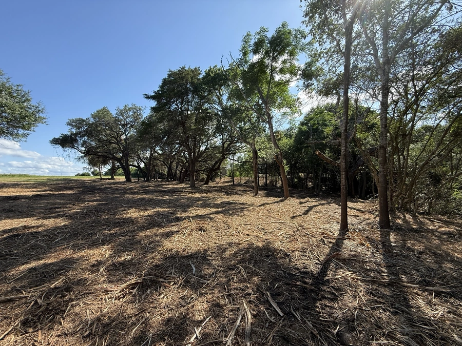 A serene wooded area with a dirt path running through it, surrounded by mature trees with lush foliage providing shade and natural beauty.