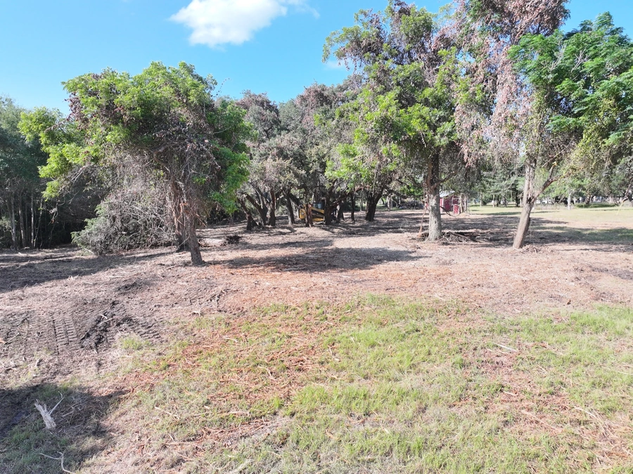 A partially cleared wooded area with fallen branches, exposed soil, and remaining mature trees, indicating the early stages of a land clearing and site preparation project.