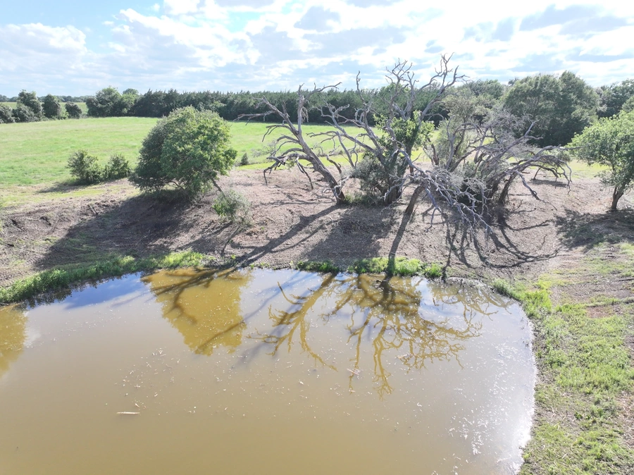 A scenic rural landscape with a large, twisted and gnarled tree reflecting in a muddy pond. The surrounding meadow is dotted with other trees and shrubs, creating a peaceful, natural scene.