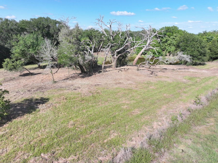 A vast, natural landscape with lush green grass, towering trees, and a dirt path winding through the serene scene. The image captures the beauty and tranquility of the Texas countryside, showcasing the potential for land improvement and site work services offered by A.M. Pitts Construction.