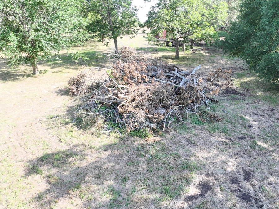 A large pile of fallen and uprooted tree branches and debris in a grassy, wooded area, indicating recent land clearing or site preparation work.