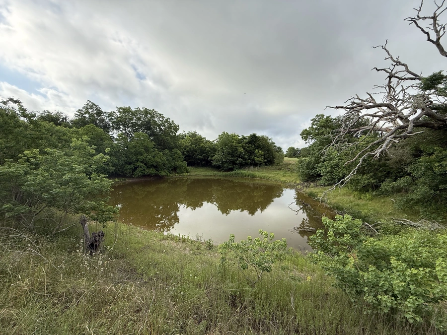 A tranquil pond surrounded by lush green trees and vegetation in a natural, rural setting.