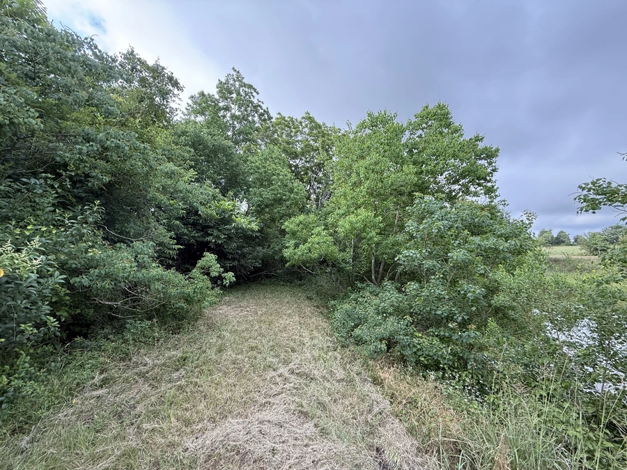 A winding dirt path through a lush, green forest with trees and foliage on both sides. The path leads into the distance, creating an inviting and peaceful scene.