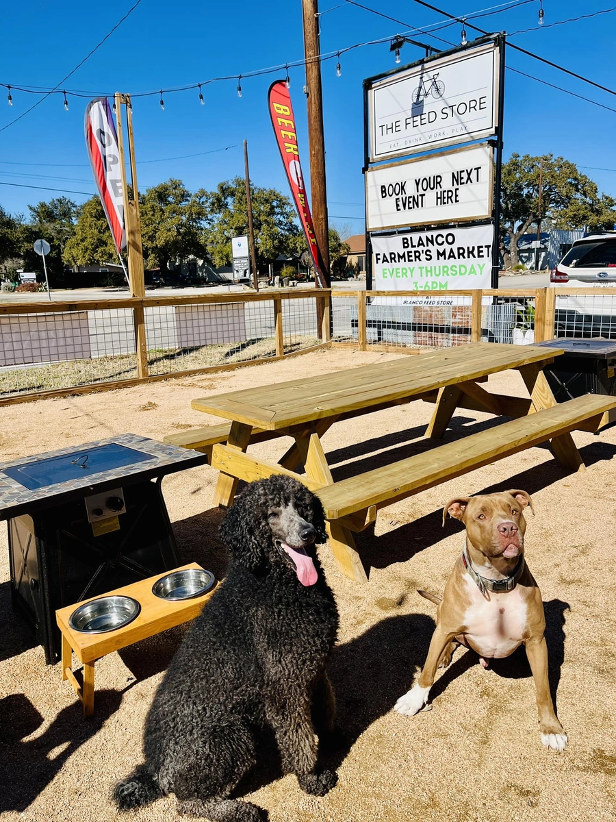 Two dogs in the Blanco Feed Store outdoor patio