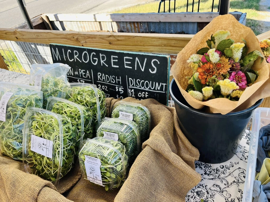 Fresh microgreens at our farmers market