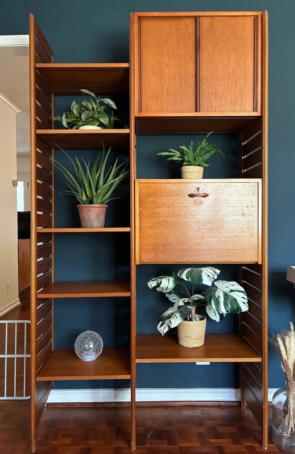 Photo of modern large cabinet with plants in open sections