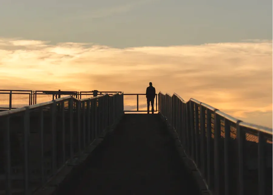 Silhouette of person on tree-lined path at sunset