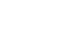 White Magic Auto Glass Logo without the circle