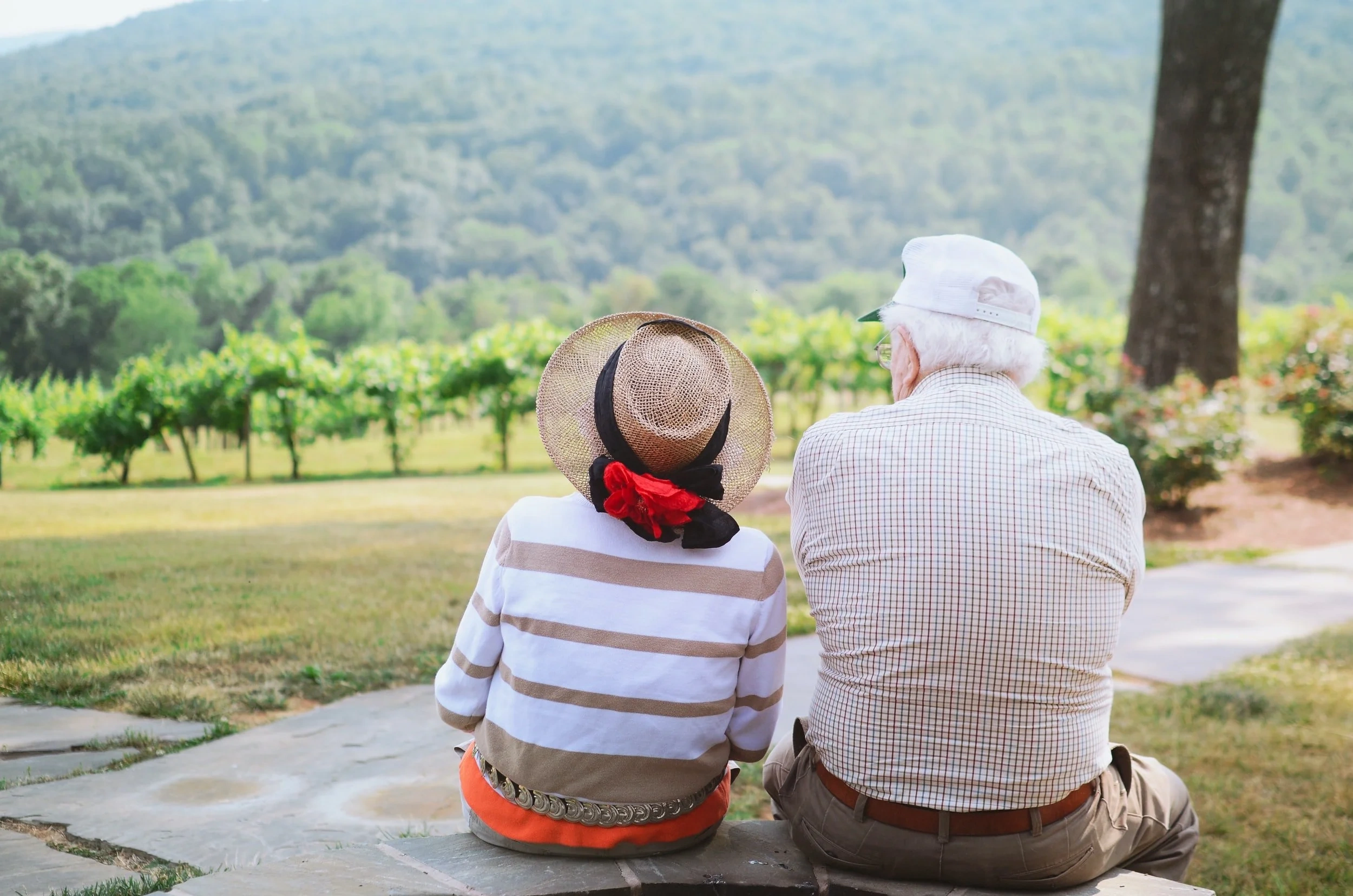 Elderly couple seated on a stone bench overlooking vineyard rows and distant hills