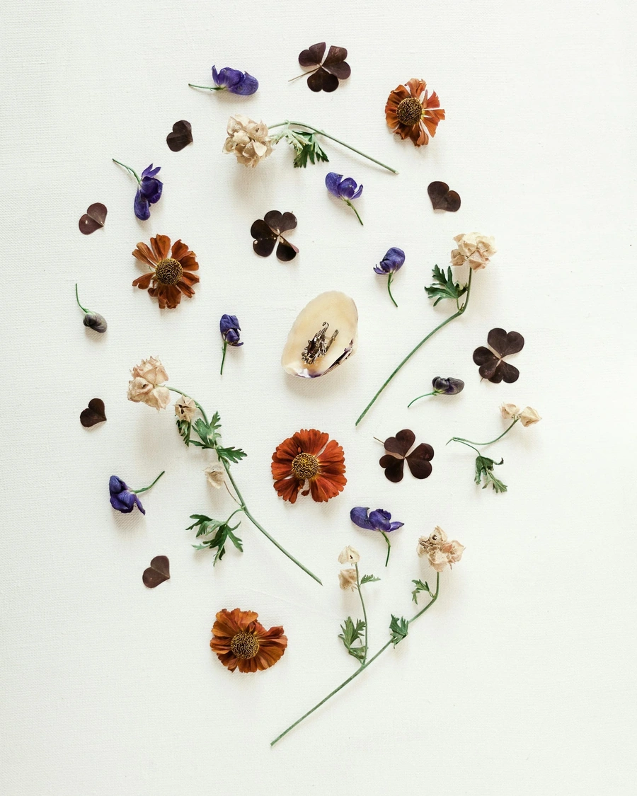 Dried flowers layed out in a circular shape