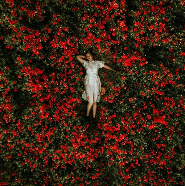 Woman laying ina. field of flowers