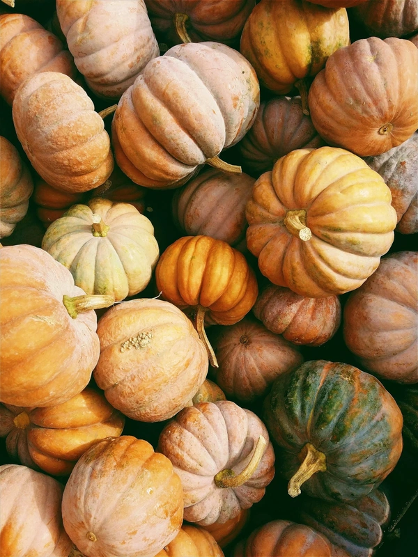 Pile and different shades of pumpkins