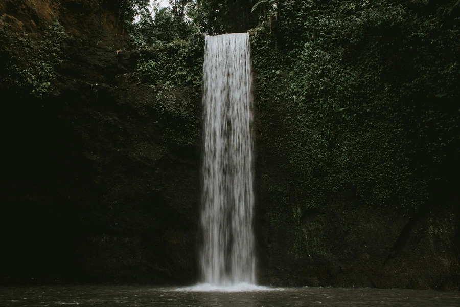 Waterfall in a lush green forest