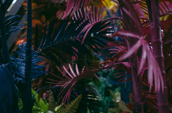 Purple, blue and green palms