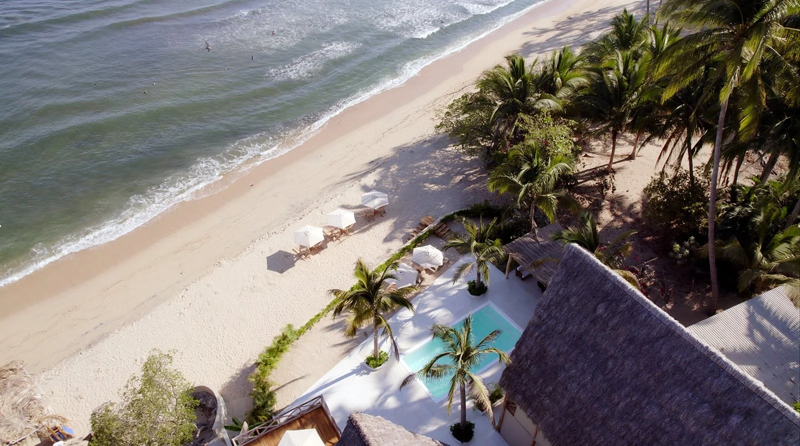 Picture of Selva Wellness Retreat resort on beach