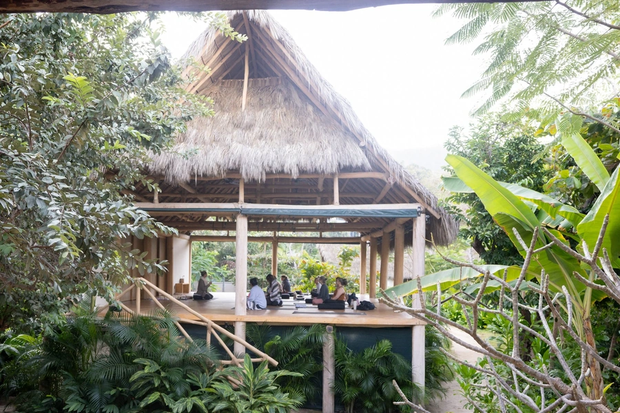 Selva Womens Wellness Retreat Experiences