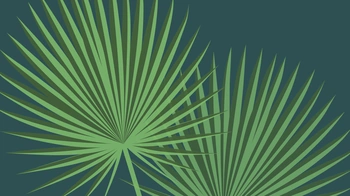 Drawing of light green palms on a dark green background