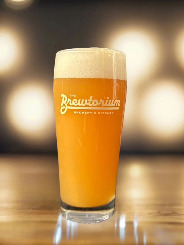 500: A HOP ODYSSEY