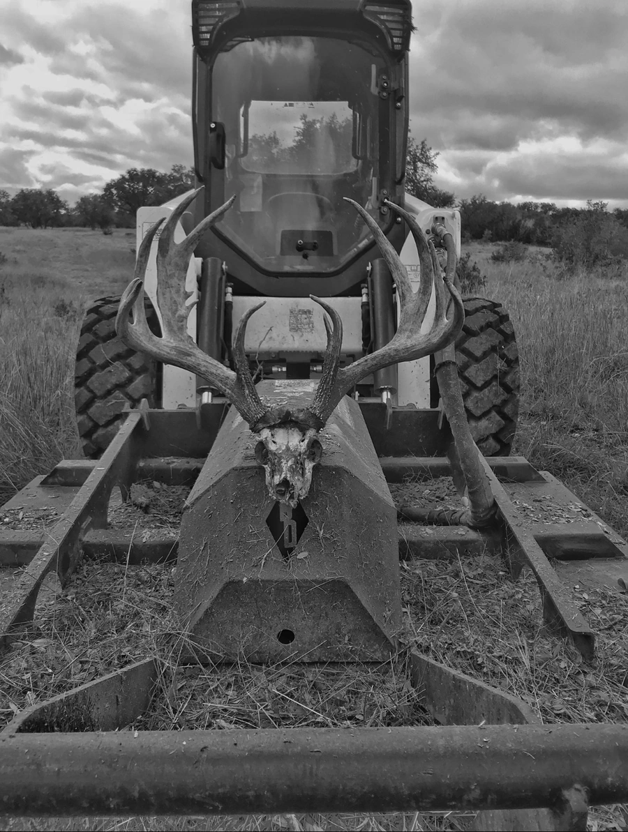 Black and white photograph of a weathered deer skull with impressive antlers mounted on the front of a skid-steer loader bucket, set against a rural landscape with cloudy skies