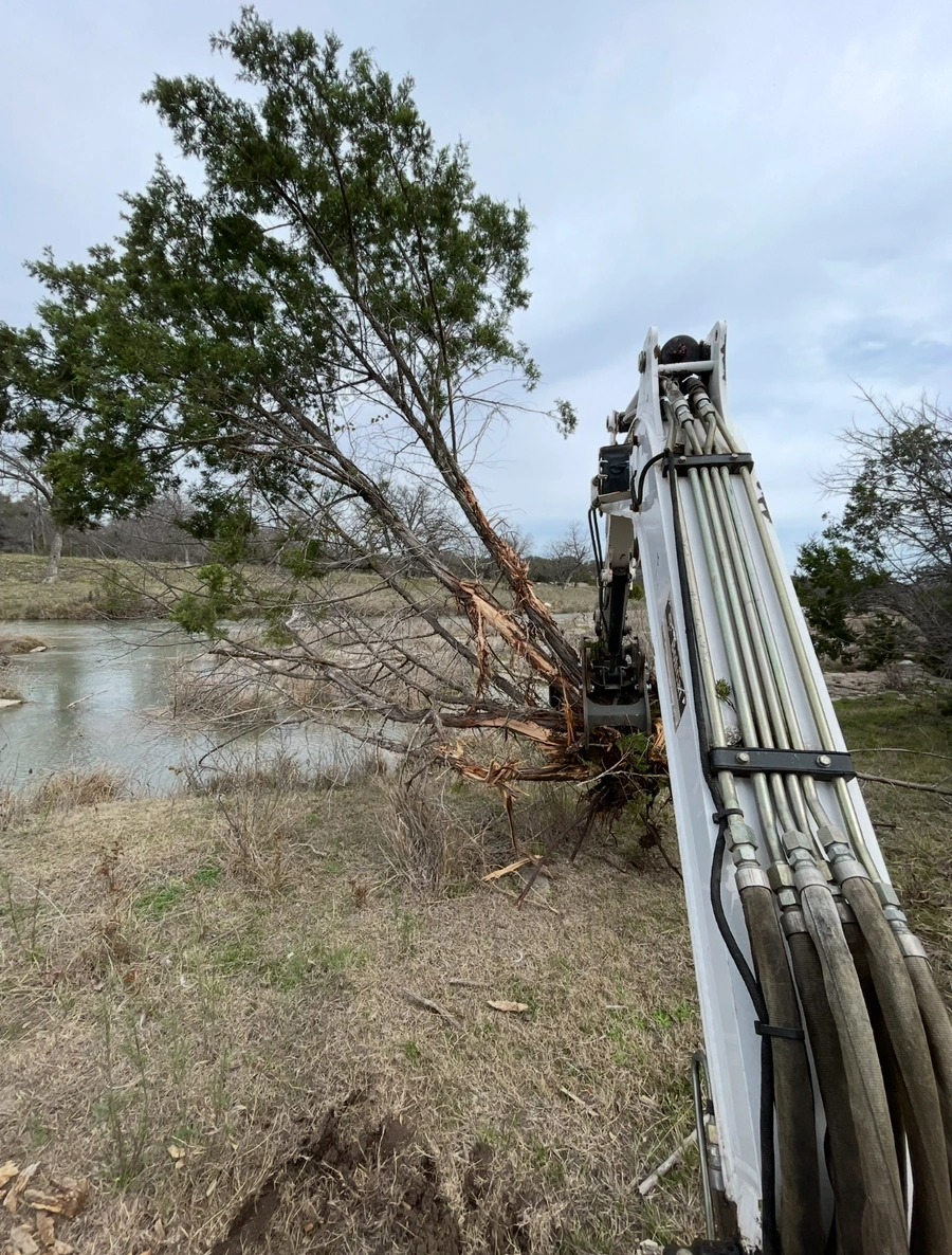Hydraulic equipment with multiple hoses removing a damaged tree on a riverbank, with a partially uprooted tree leaning over murky water and natural vegetation in the background