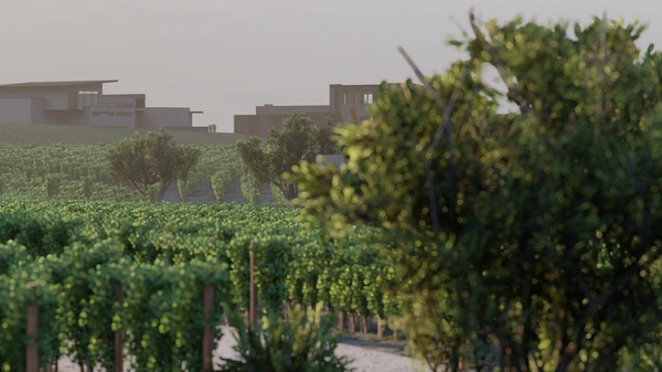Puerta Del Lobo Site Rendering with vineyards
