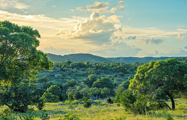 Southerland Community development land