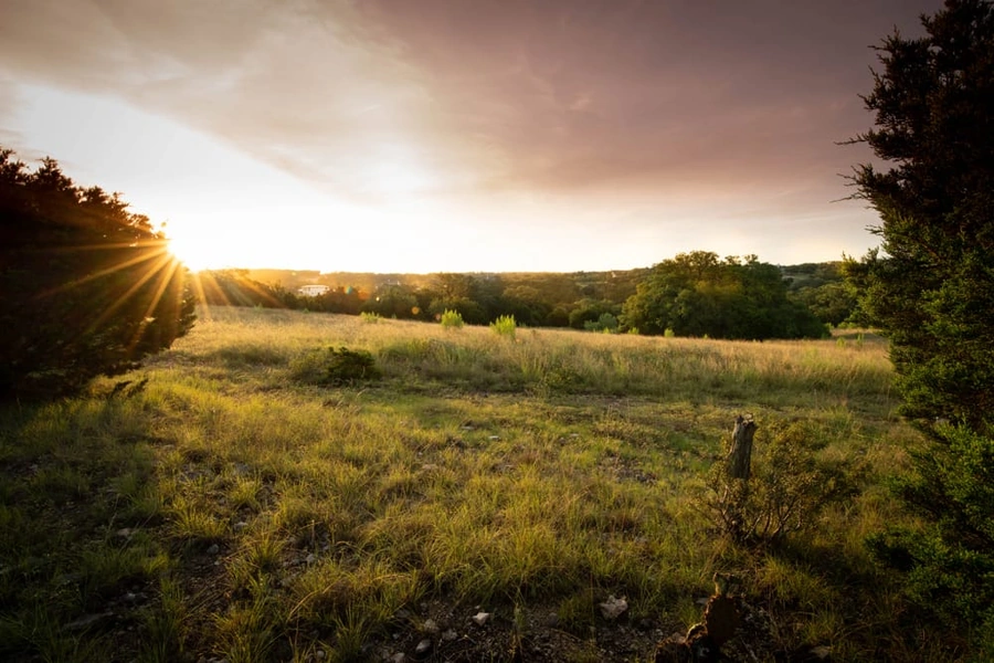 Lots and scenery at Vintage Oaks